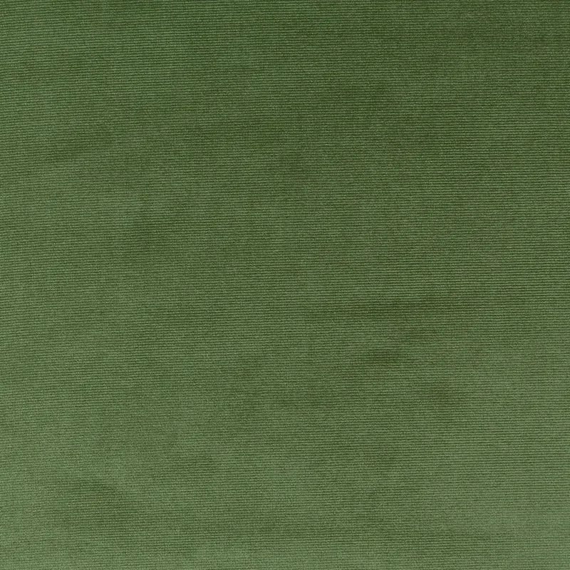 Eco Velour - basil