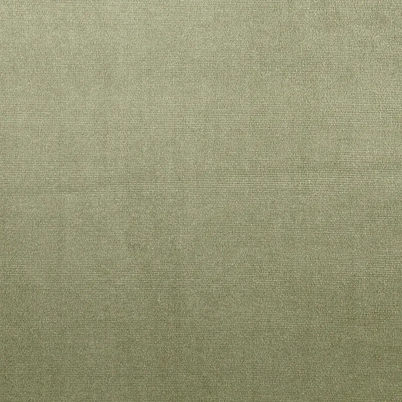 Eco Velour - willow