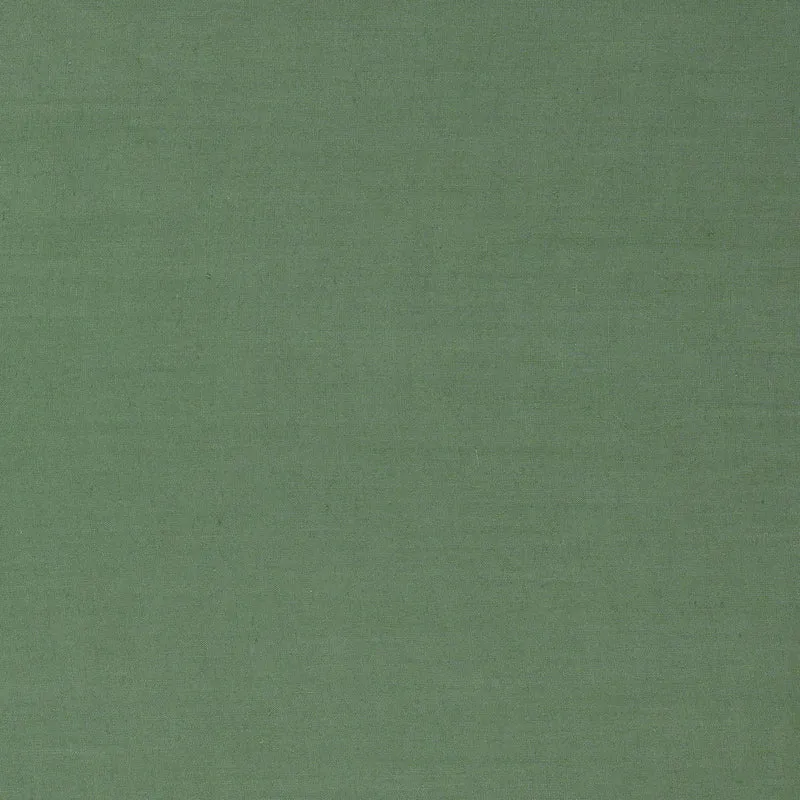Flax - evergreen