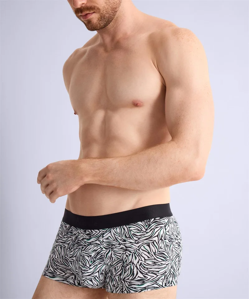 Aubade - Aubade Herrenshorts mit wilden Streifen