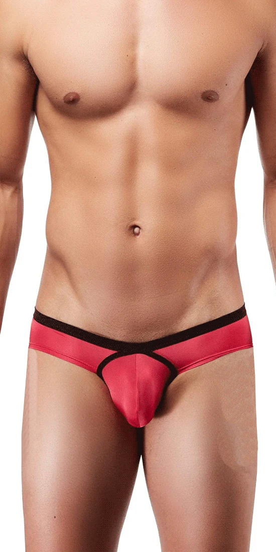 DOREANSE 1377 Boost Cheeky Brief In Fuchsia