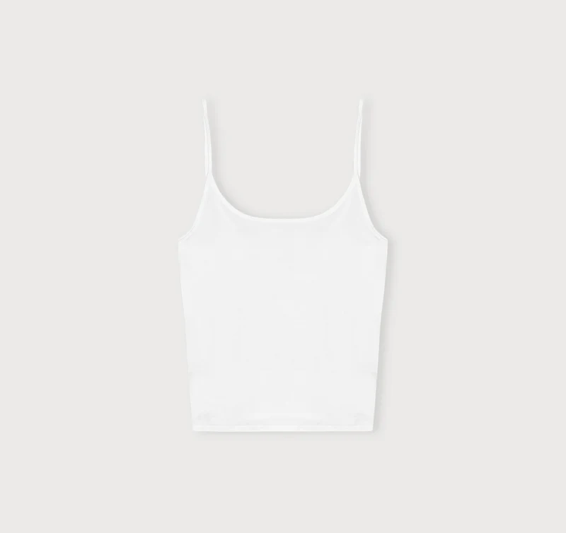 Core Singlet
