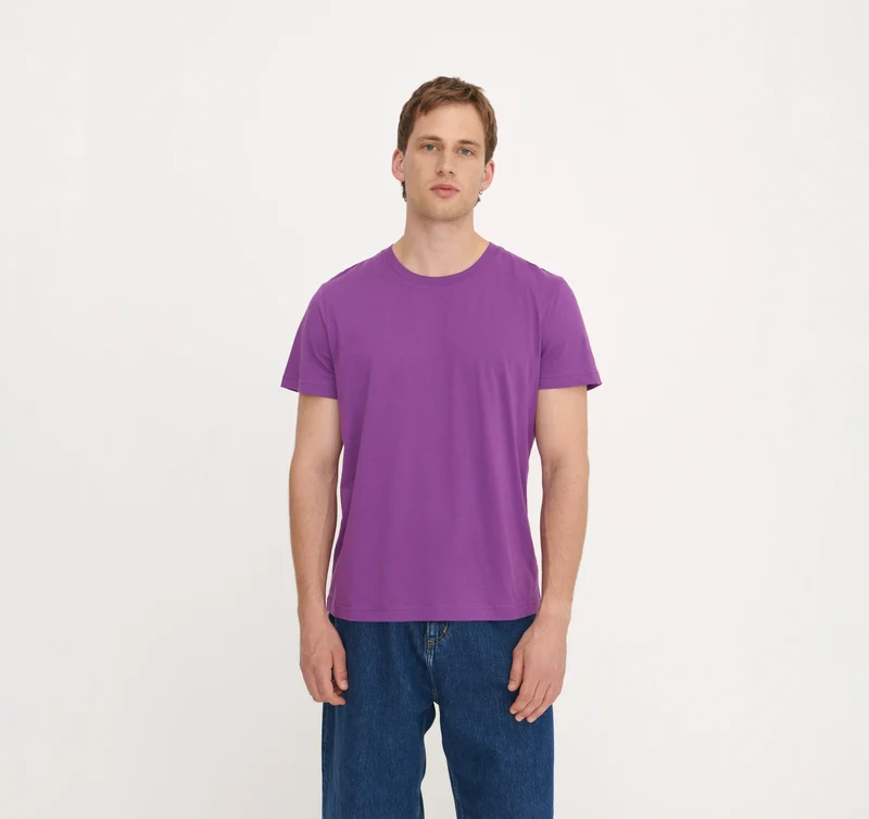 True Regular Fit Tee