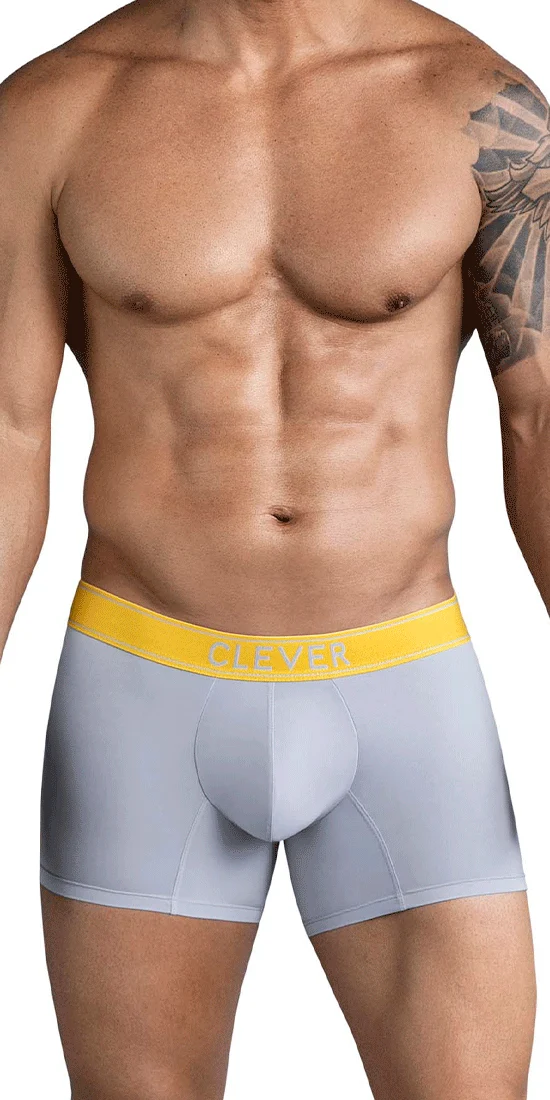 Clever 1755 Diseno Trunks Gray
