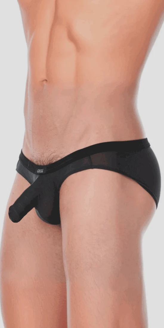 Gregg Homme Nude Briefs 122803 in Black