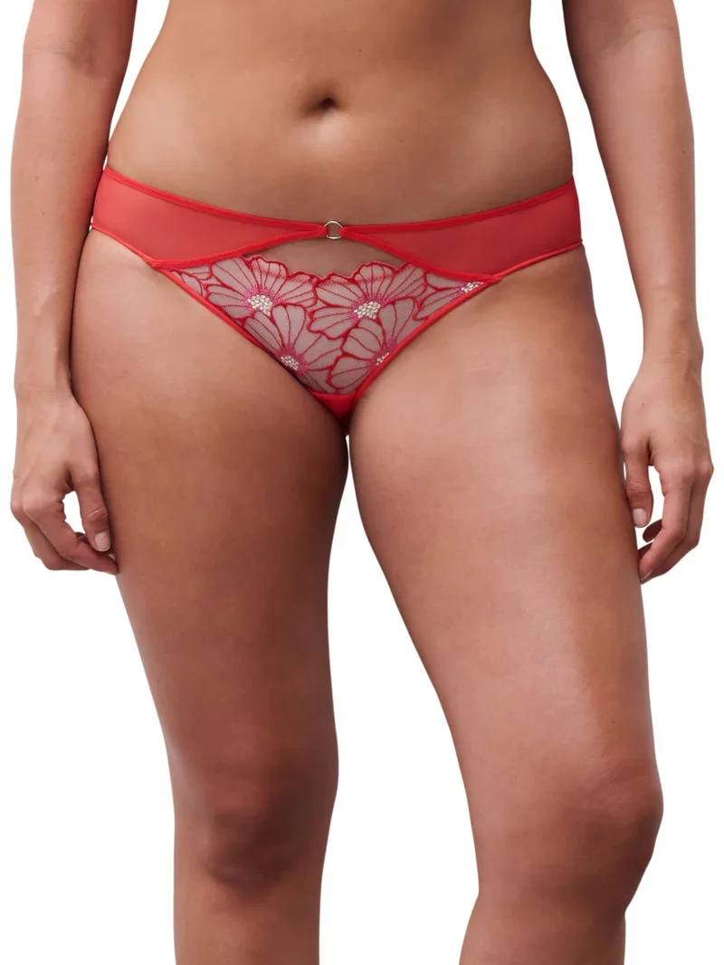 Chantelle – üppige, zarte, extravagante Blume
